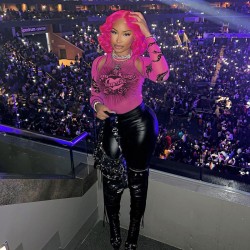 European cross-border autumn new women's feminine hot girl sheer print fitted upper garment with open collar long sleeve one-piece for wholesale