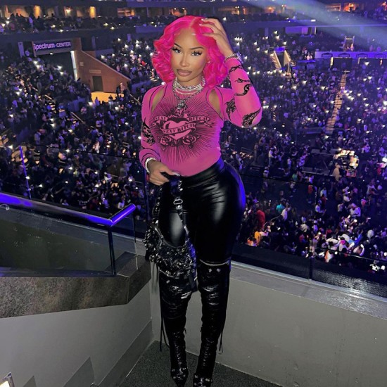 European cross-border autumn new women's feminine hot girl sheer print fitted upper garment with open collar long sleeve one-piece for wholesale